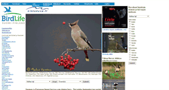 Desktop Screenshot of lintukuva.fi